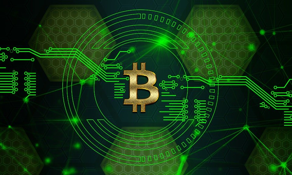 Into bitcoin blossom crypto price